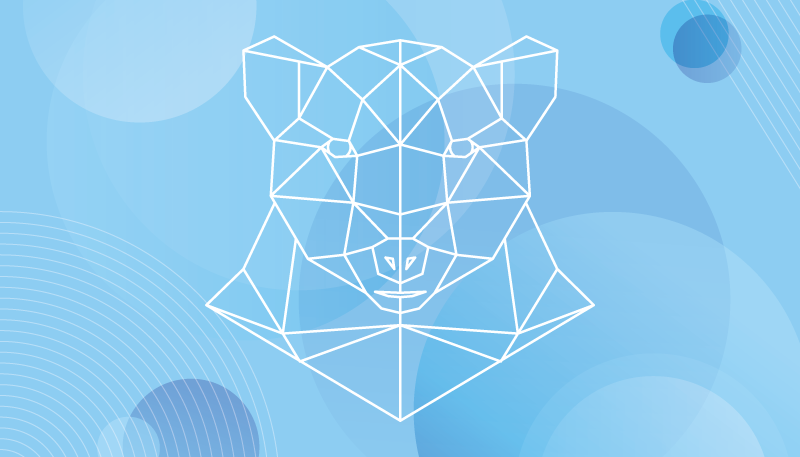 Geometric bear outline animal vinyl rug - TenStickers