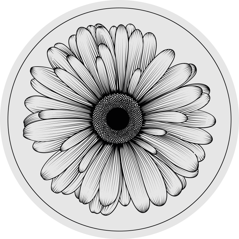 Round daisy flower floral vinyl rug - TenStickers