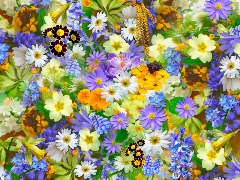 Different kind of flower field floral rug - TenStickers