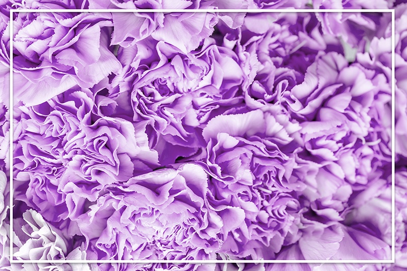 Vibrant Purple Blooms flower vinyl rug - TenStickers