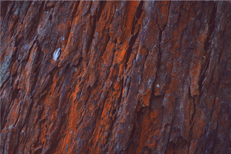 Rustic bark wood vinyl rug - TenStickers