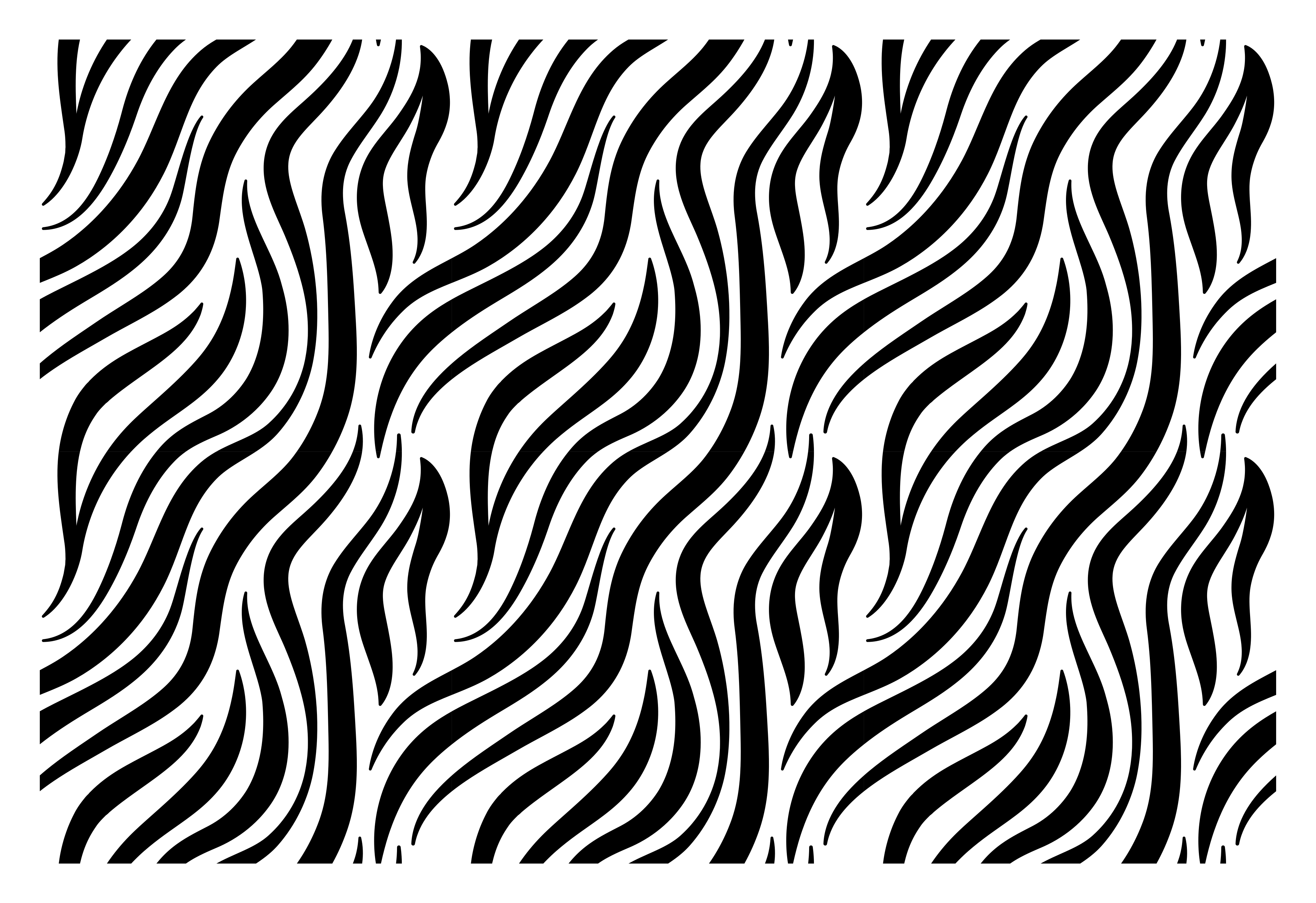 Black and white zebra stripes stripes carpet - TenStickers