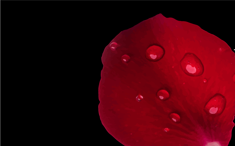 Red Petal Glamour living room vinyl rug - TenStickers