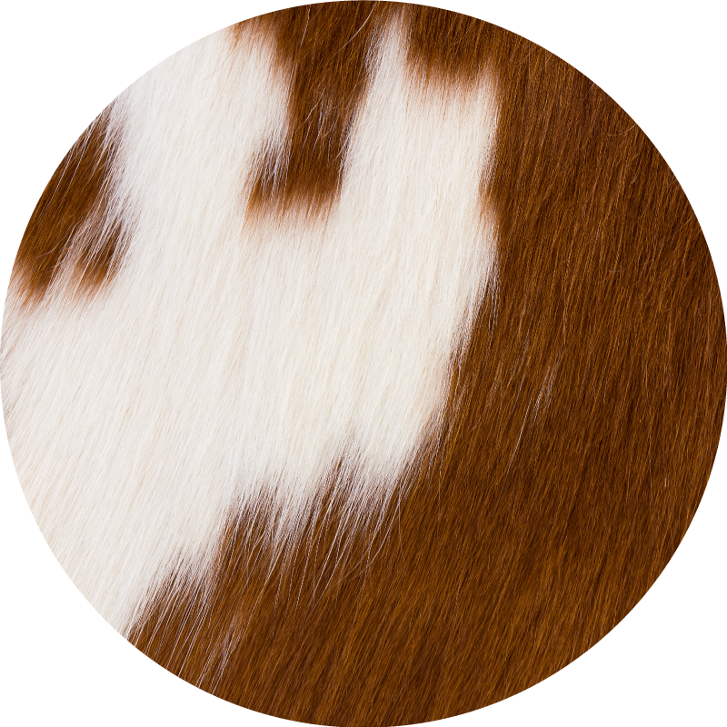 Animal print vinyl rug with cowhide design - TenStickers
