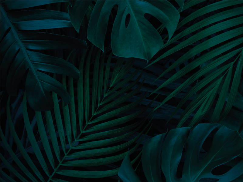 Forest leaves and plants floral rug - TenStickers