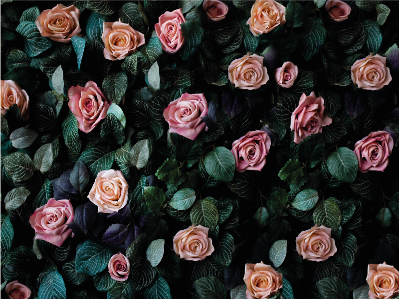 Floral Botanic Imagery carpet roses - TenStickers