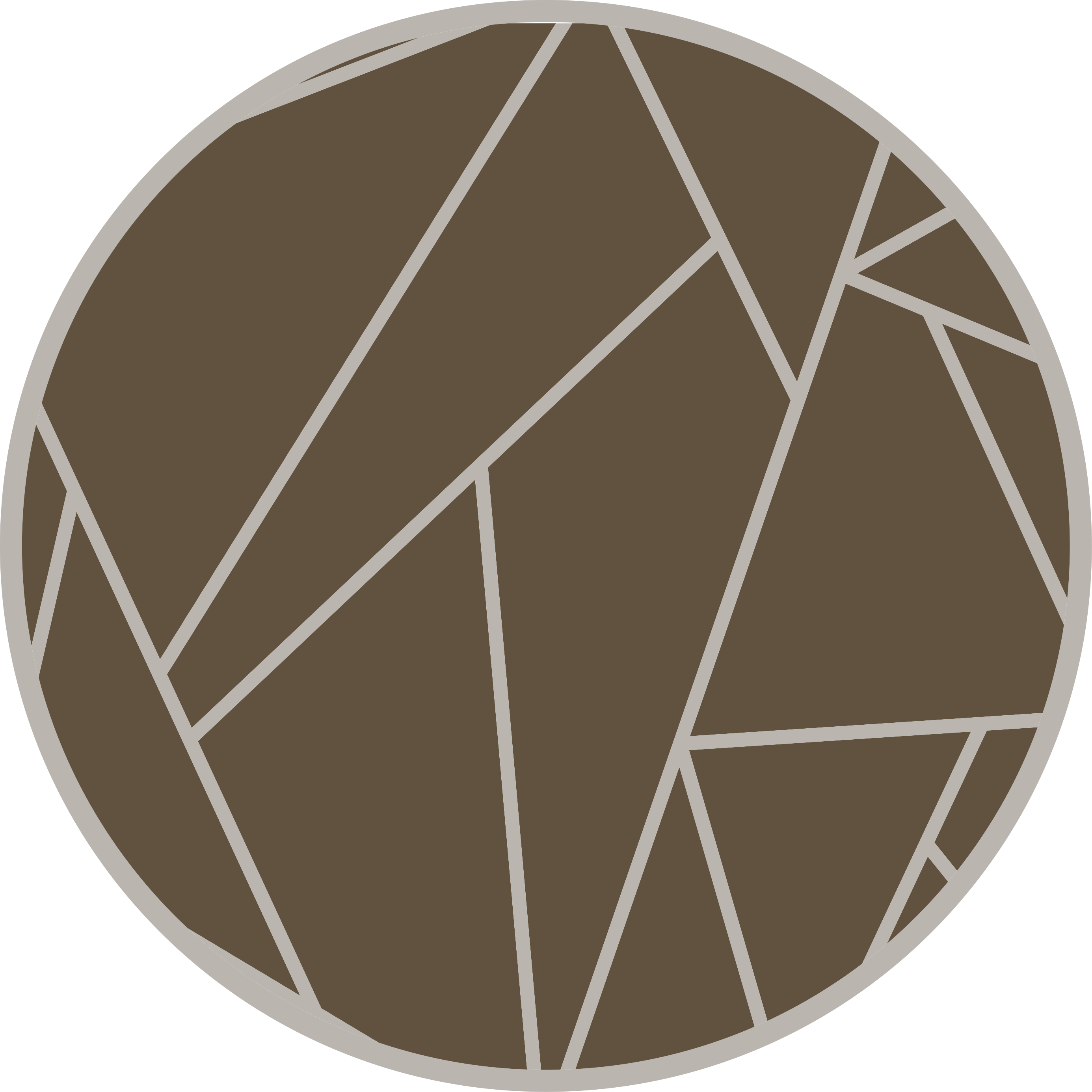 Geometric Pattern Circle brown vinyl rug - TenStickers