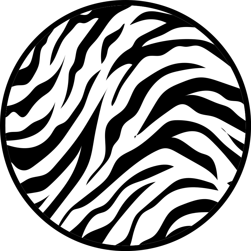 Zebra Stripe Circular Design animal print rug - TenStickers
