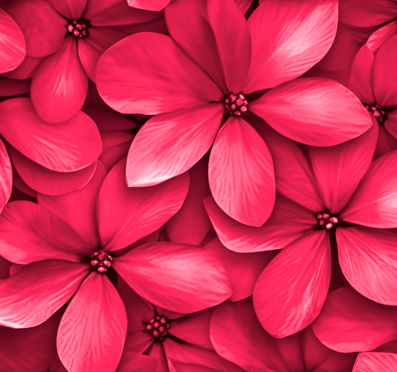 Red Digital Flowers hallway runner - TenStickers