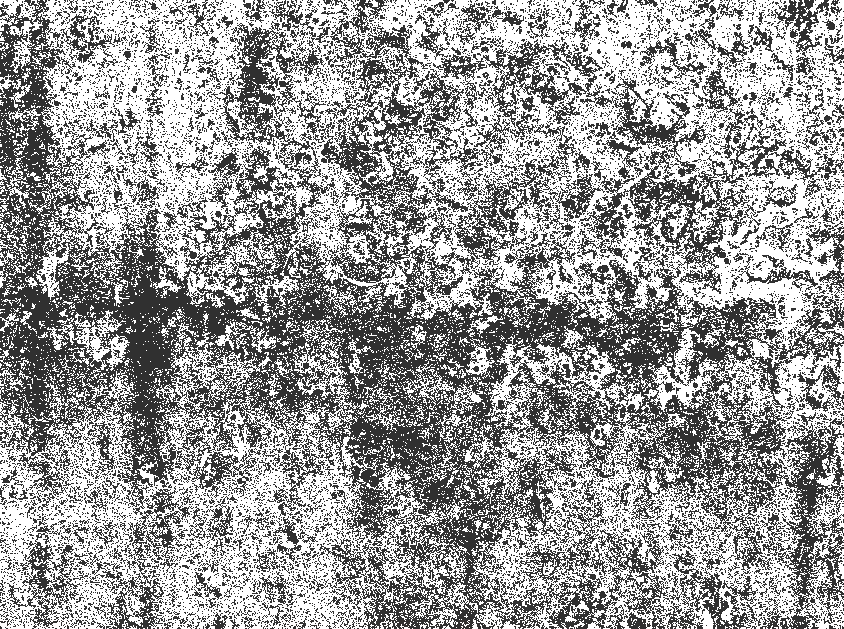 Faded grey dining room rug - TenStickers