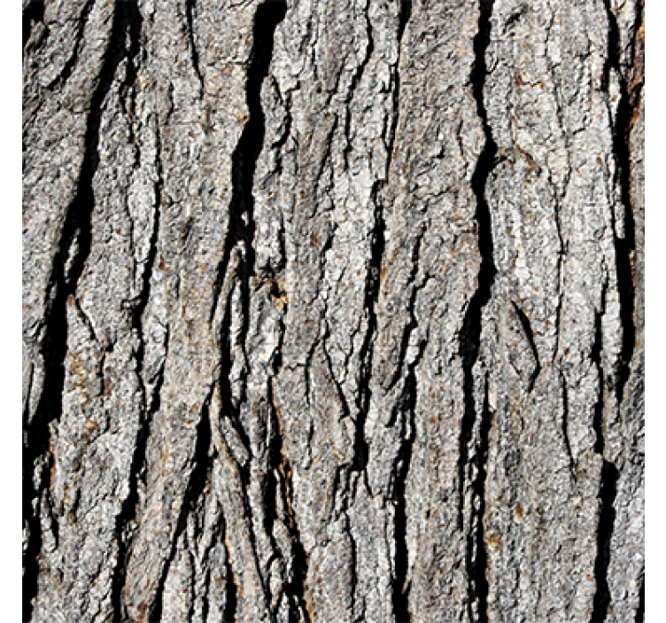 Wood wallpaper with realistic bark pattern - TenStickers
