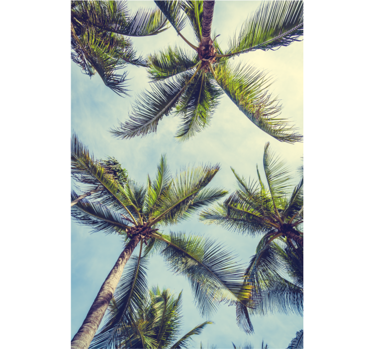 Tree wallpaper featuring palm trees from below - TenStickers