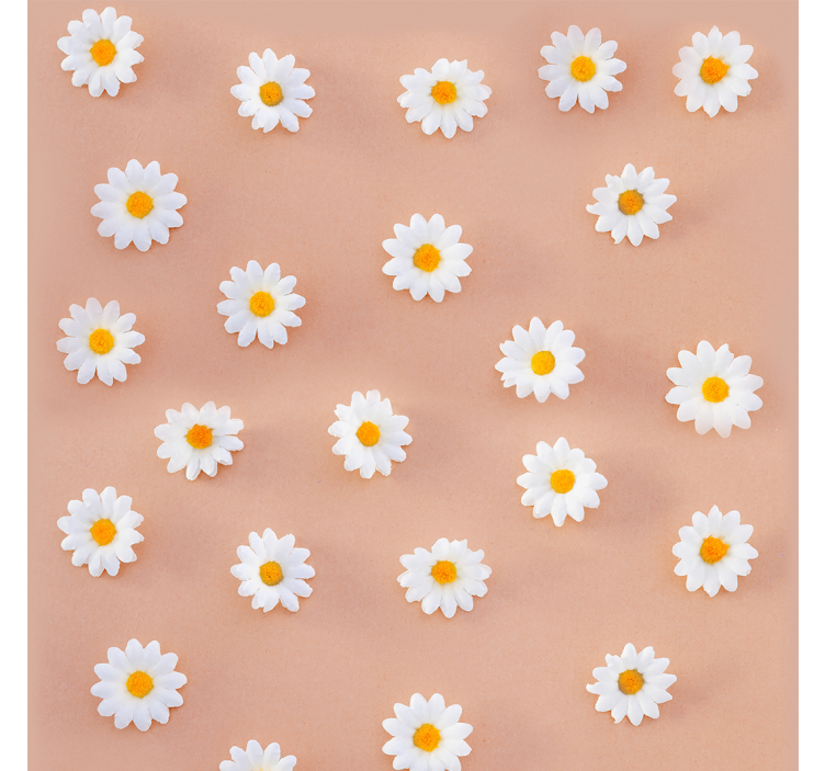 Daisy Blooms flower wallpaper - TenStickers